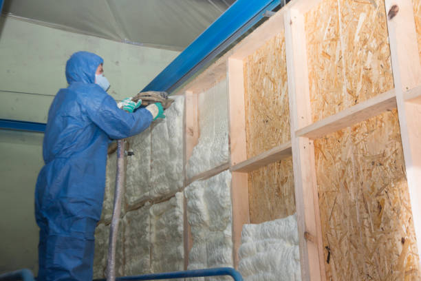 Best Crawl Space Insulation  in Avon, IN